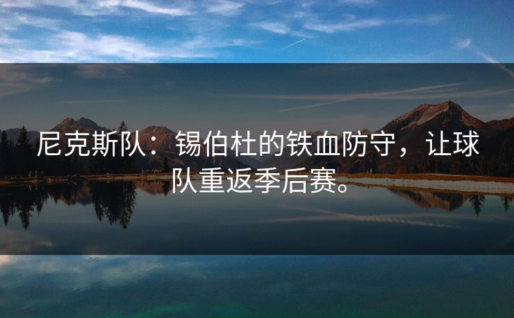 尼克斯队：锡伯杜的铁血防守，让球队重返季后赛。