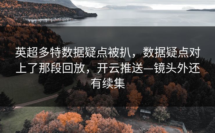 英超多特数据疑点被扒，数据疑点对上了那段回放，开云推送—镜头外还有续集